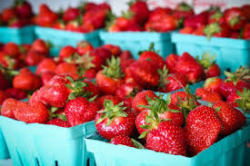 Maybe you would like to learn more about one of these? Daytrip Strawberry Picking On Long Island Hither Thither Strawberry Picking Organic Strawberry Strawberry
