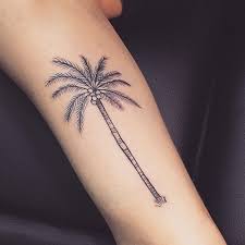 Sketchupandfries On Instagram Coconut Palm Tree On Jdawww Thank You Palm Tree Tattoo Tree Tattoo Men Palm Tattoos