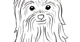 Yorkshire terrier coloring page handipoints 1275 x 1650px 451.72kb. Yorkshire Terrier Coloring Page Art Starts