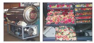 Then i would unplug the freezer to allow the temperature to slowly rise. What Is Freeze Drying