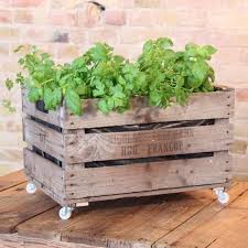 35 Obstkisten Deko Ideen Garten Check More At Http Bhealthynow Info Obstkisten Deko Ideen Garten 79444 Obstkisten Weinkisten Obstkisten Deko