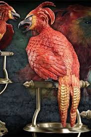 While their rebirth from their own ashes is relatively widely known among muggles, it is not generally known that they can lift extremely heavy loads. Harry Potter Statue Fawkes The Phoenix 35 Cm