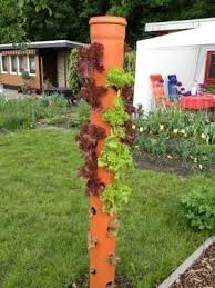 Der Salatbaum Bzw Die Pflanzsaule Mehrere Unterschiedlich Hohe Saulen Salat Kunstwerk Wald By Cristina In English The Let Garten Garten Hochbeet Pflanzen