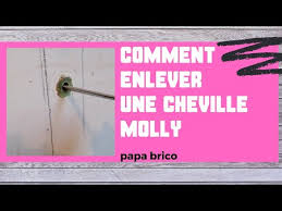 Comment Enlever Une Cheville Molly Youtube