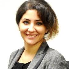 Ghasideh Pourhashem (@PGhasideh)