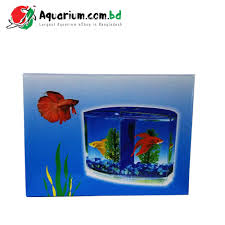 Choose peaceful fish compatible with bettas, and add them to the tank a week or so before these small fish are at risk of your betta's aggression when they are kept in small numbers but in large. Betta House Double Aquarium For Betta Fish Aquarium Com Bd Largest Aquarium Ecommerce Site Of Bangladesh