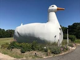 (0.26 mi) hyatt place long island east end. Tb87d87 Travel Bug Dog Tag Hansarelli S The Big Duck Travel Bug