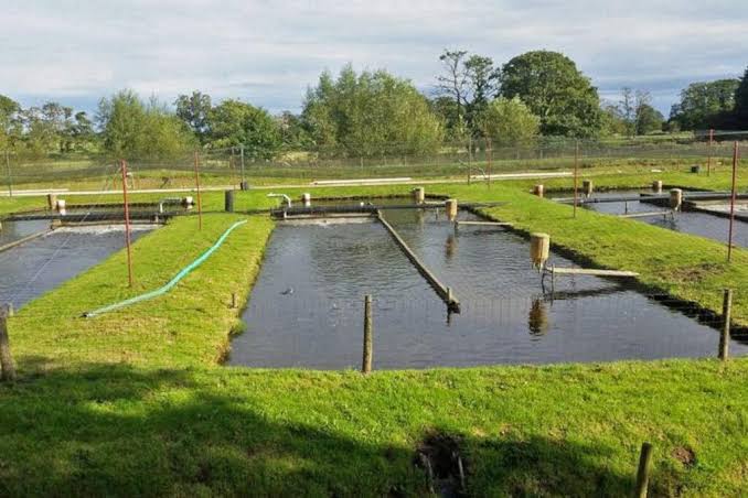 Fish farming land