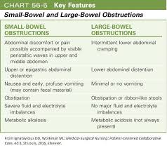 Small Bowel And Large Bowel Obstruction Nursing School Notes Med Surg Nursing Nursing School Studying