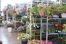 Union County Benefit Flower/Tool Auction & Rib Dinner