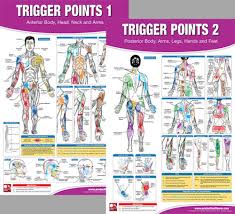 Details About Trigger Points Professional Fitness Gym Physiotherapy Wall Charts 2 Poster Set