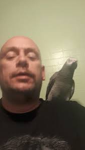 What happened at the Flamingo Lounge last night during bike night?