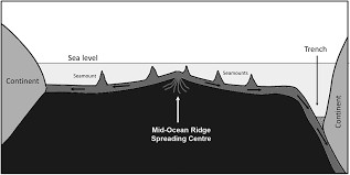 Ocean trenches are vast depressions on the ocean floor where tectonic plates meet. Introduction Chapter 1 Deep Sea Fishes