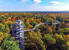 Baum&zeit baumkronenpfad im herbst, foto: Treetop Walk Baum Zeit Baumkronenpfad Flaming Beelitz Heilstatten