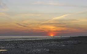 pin auf de wadden