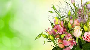 Find the large collection of 25000+ nature background images on pngtree. Hd Wallpaper Flower 4k Background Download Flowering Plant Beauty In Nature Wallpaper Flare