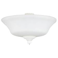 Hampton Bay 2 Light Ceiling Fan Light Kit 03702 The Home Depot