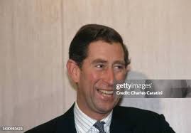 20 Prince Of Wales Alsatian Stock Photos, High-Res Pictures, and Images