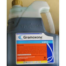 Bahan ini diciptakan dengan menggunakan teknologi emulsifier modern dan mampu. Jual Herbisida Racun Rumput Gramoxone 5 Liter