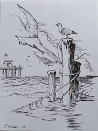 Seagulls Sketch In Ink 8in 6in Pencil Art Drawings Art Drawings Art Drawings Sketches