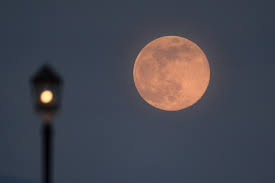 Guardian australia picture editor carly earl explains the dos and don'ts of photographing the celestial spectacle last modified on mon 26 apr 2021 23.05 edt with a pink supermoon rising, many. Ivsa1pxxzamim