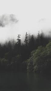 Aesthetic forrest hd wallpaper1920 x 1080. Aesthetic Lockscreen Tumblr Forest Landscape Landscape Wallpaper Nature Wallpaper