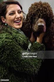 61 Jack Snipe Stock Photos, High-Res Pictures, and Images