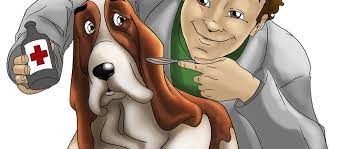 Oral preparations must first dissolve in the stomach and then get absorbed into the if tylenol is taken on a full stomach it may take up to twice as long for it to have an effect, depending on the preparation. Nexgard For Dogs All The Facts About This Chewable Flea Treatment