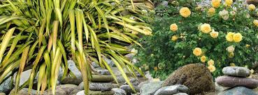 Parterre de galets 1001 modèles de parterre de fleurs avec galets idée, la déco de jardin originale et pratique parterre de, decor de parterre modele massif avec galets ft41 idees, résultat de recherche d 39 images pour quot photo parterre, galets galets granulats cie ggc, comment decorer. Amenager Un Jardin De Galets