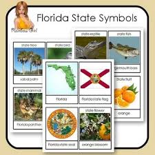 The mockingbird became the state bird on 1927. Florida State Symbols Cards State Symbols Florida Florida State