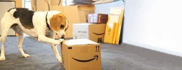 As a result, as your aws usage needs increase, you benefit from the economies of scale that allow you to increase adoption and keep costs under control. New Requirements For Amazon Frustration Free Packaging