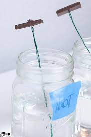 Learning about frogs can be very exciting for the preschool child. February Science Experiments A Dab Of Glue Will Do