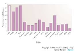 Metastatic Breast Cancer Most Common Sites 6 Download Scientific Diagram