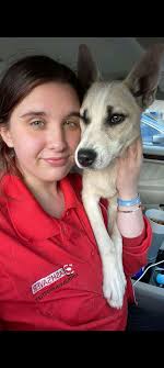 Found cat at Cash Saver