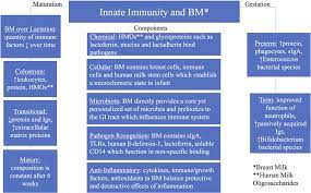 Frontiers Innate Immunity And Breast Milk Immunology
