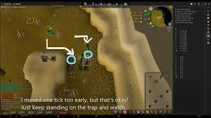 Check spelling or type a new query. Barbarian Assault Defender Guide By Ni Haody Youtube