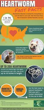 The Pet Owner S Parasite Resource Heartworm Heartworm Prevention Pet Health