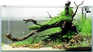 We did not find results for: Aquascaping Seahorse Aquariums Ltd