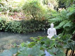 Der botanische garten gardone befindet sich in der region lombardei in der provinz brescia und liegt die anlage befindet sich heute im besitz der fondazione andré heller und ist jährlich zwischen märz und oktober der. Botanischer Garten Gardasee Informationen Bei Gardasee24 Com