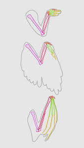 Just follow these easy steps. Taking Flight A Beginner S Guide Into Drawing Wings