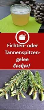 Fichtennadel Gelee Gelee Brotaufstrich Rezept Essen Selber Machen