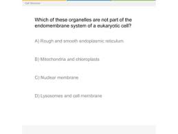 Which Structure Is Not Part Of Endomembrane System - Brainly.Com