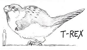 Seanan S Tumblr Flatbear Coelasquid Gentlemanbones We Can T Feathered Dinosaurs Dinosaur Drawing Dinosaur Funny