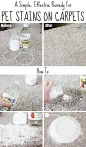 This Is The Best Way To Remove A Pet Stain From Carpet Diy Cleaning Products Pet Stains Carpet Stains Pet