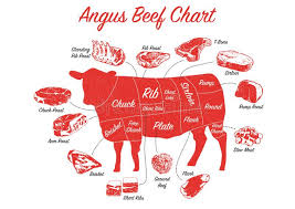 Cow Cuts Stock Illustrations 805 Cow Cuts Stock