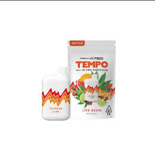 Image result for Tempo One