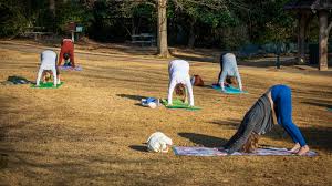 Schools reiki schools shiatsu schools spiritual healing schools yoga instructor schools *other schools. Alabama Lifts Its Ban On Yoga In Schools The New York Times