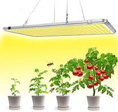 Enjoy Exclusive For Bozily Led Grow Lights Indoor Plants Full Spectrum 300w Sunlike Plant Growi Grow Lights For Plants Growing Plants Indoors Led Grow Lights