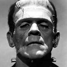 todd Nygaard (tnyg429tn)