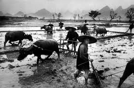 Magnum Photos Preto E Branco Humanos